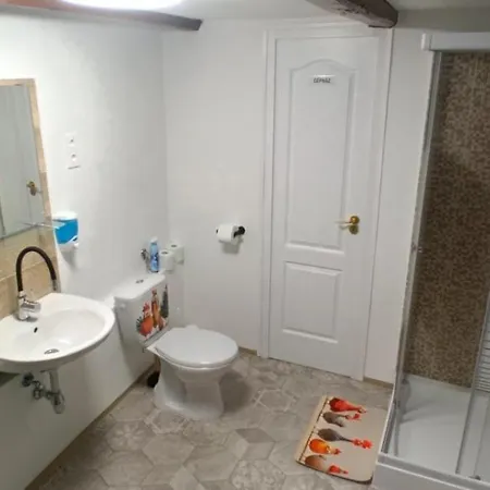 Vandor Kakas Vendeghaz Dezsafuerdovel Tatil Evi