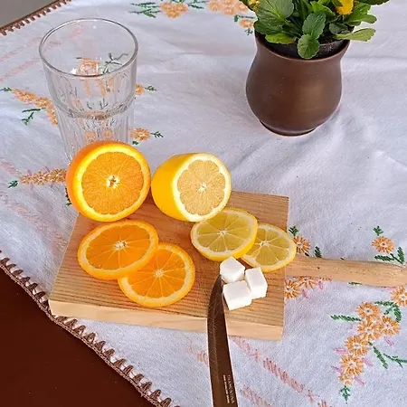 Vandor Kakas Vendeghaz Dezsafuerdovel Tatil Evi