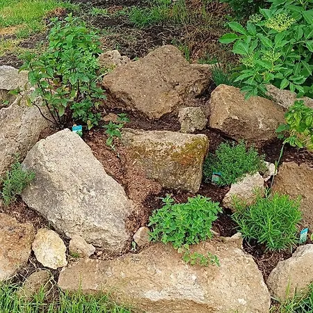 Vandor Kakas Vendeghaz Dezsafuerdovel Tatil Evi *