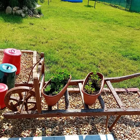 Vandor Kakas Vendeghaz Dezsafuerdovel Tatil Evi Recsk